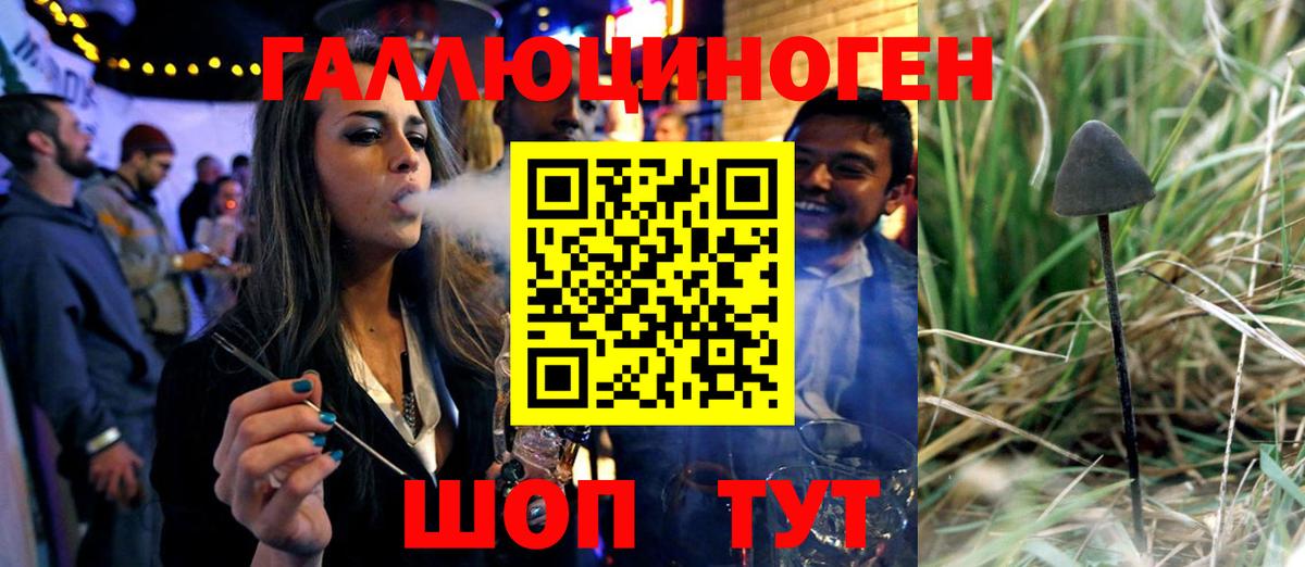 Долгопрудный  Галлюциногенные грибы GOLDEN TEACHER  Вход с VPN 